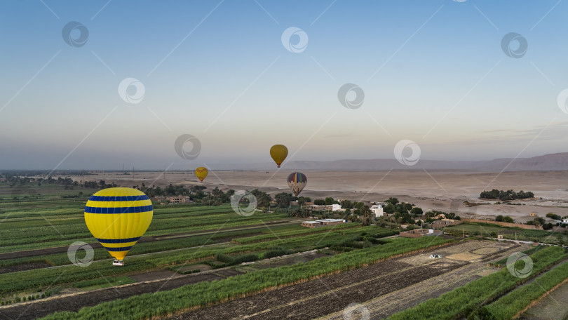 Скачать Яркие воздушные шары летают над долиной Нила в Луксоре. фотосток Ozero