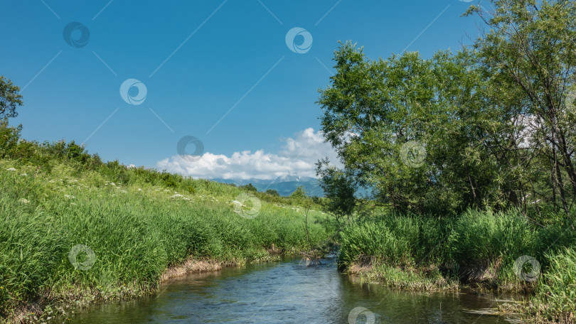 Скачать Спокойная река течет по зеленому лугу. фотосток Ozero