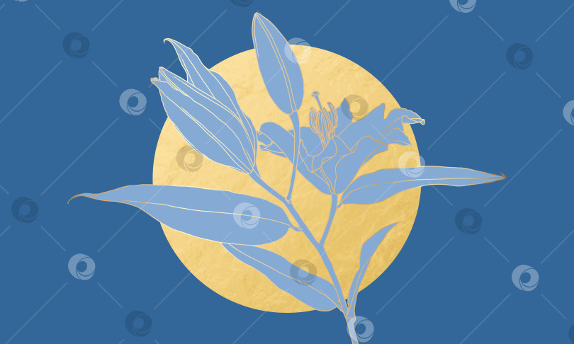 Скачать Роскошный линейный рисунок золотого цветка лилии в стиле ар-деко и луна из золотой фольги на голубом фоне фотосток Ozero