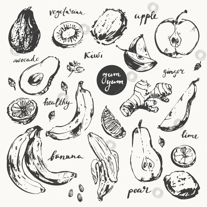 Скачать Реалистичная векторная иллюстрация фруктов для меню блюд, этикетки и упаковки фотосток Ozero