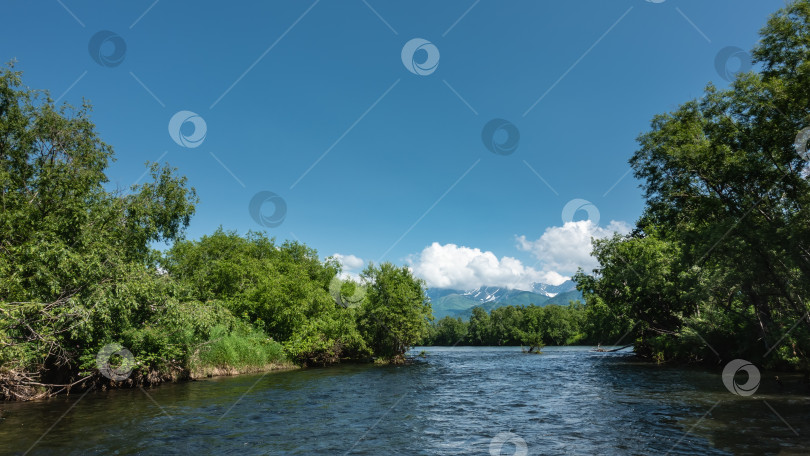 Скачать Голубая спокойная река петляет между берегами, поросшими пышной зеленой растительностью. фотосток Ozero