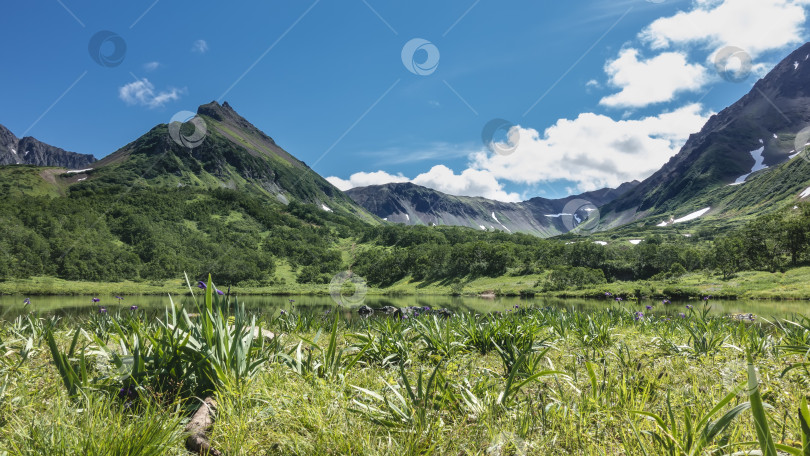 Скачать Озеро на альпийском лугу окружено живописными горами. фотосток Ozero