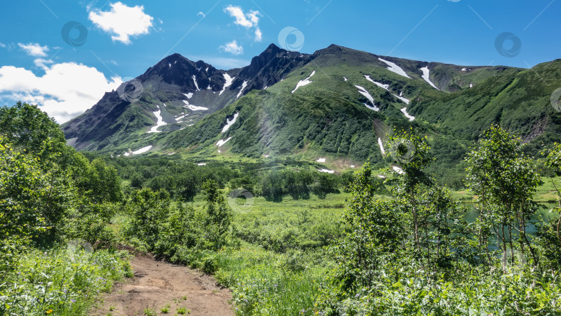 Скачать Грунтовая дорога петляет по зеленому лугу. фотосток Ozero