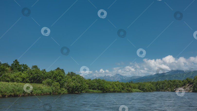 Скачать Спокойная голубая река с берегами, поросшими пышной растительностью. фотосток Ozero