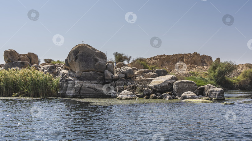 Скачать По берегам Нила разбросаны живописные валуны. фотосток Ozero