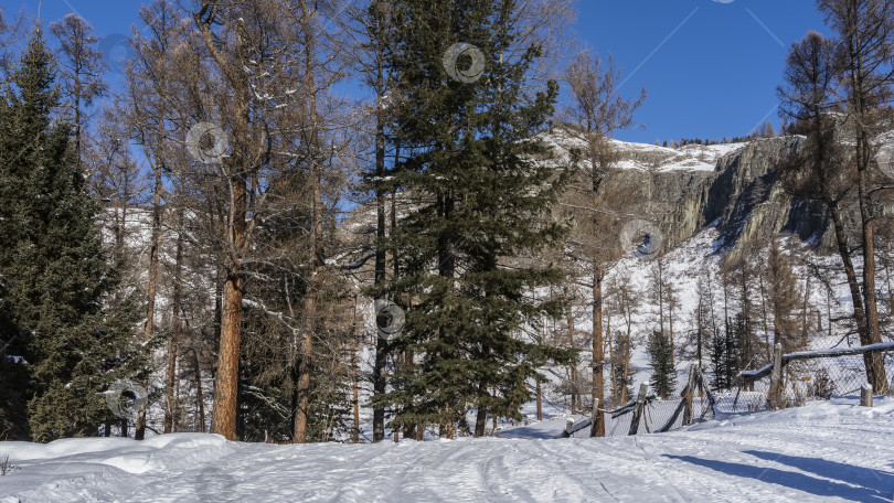 Скачать Дорога, утоптанная в снегу, спускается с холма. фотосток Ozero