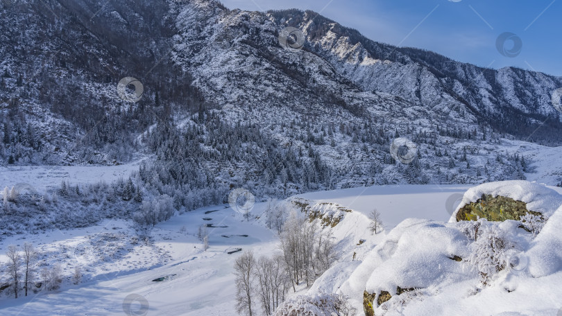 Скачать На заснеженных склонах горы растет хвойный лес. фотосток Ozero