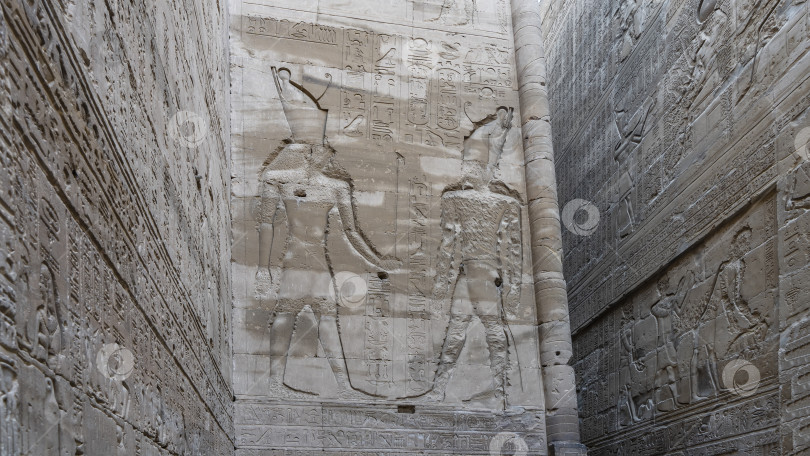 Скачать На стенах в храме Гора видны резные изображения богов и иероглифы фотосток Ozero
