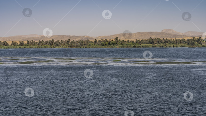 Скачать Широкая и спокойная река Нил. Рябь на голубой воде. фотосток Ozero