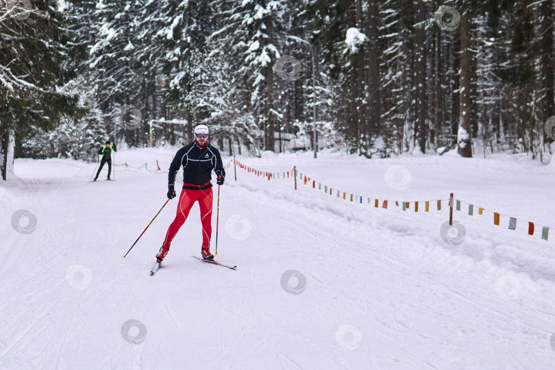 Скачать лыжники на трассе в зимнем лесу фотосток Ozero