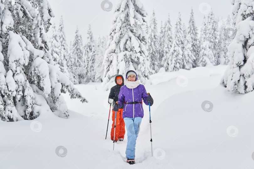 Скачать две женщины, сопровождающие туристов в зимнем горном лесу фотосток Ozero