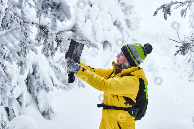 Скачать женщина-путешественница в зимнем лесу записывает видео с собой от sm фотосток Ozero