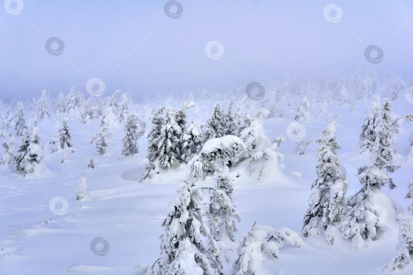 Скачать заснеженное зимнее плато в морозной дымке фотосток Ozero