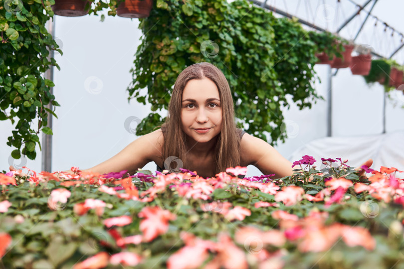 Скачать женщина в платье среди декоративных растений в теплице фотосток Ozero