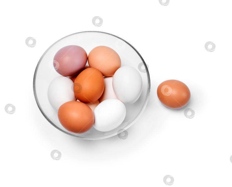 Скачать яйца разного цвета от белого до коричневого в стеклянной миске и фотосток Ozero
