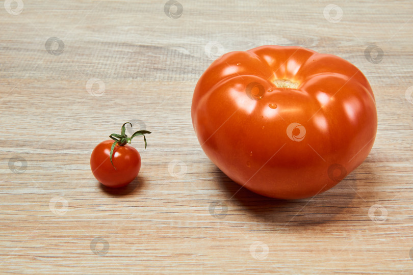 Скачать маленький помидор черри рядом с большим помидором на столе фотосток Ozero