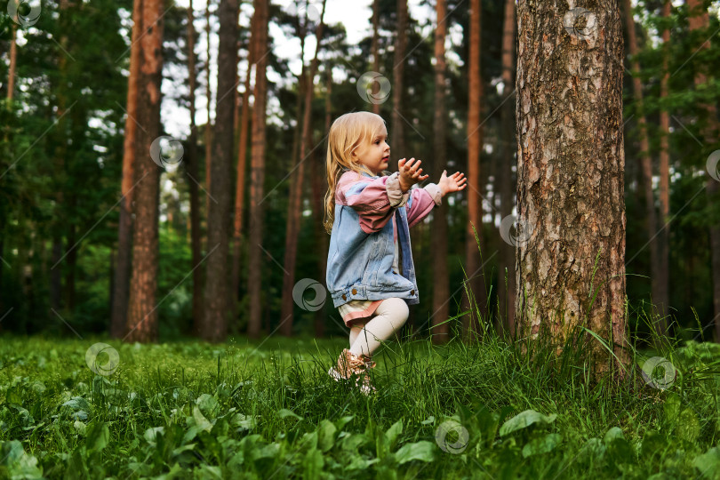 Скачать маленькая девочка знакомится с природой в сосновом лесу фотосток Ozero