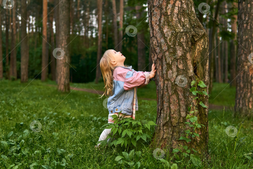 Скачать маленькая девочка, девочка, смотрящая вверх вдоль ствола дерева и видящая птицу или фотосток Ozero