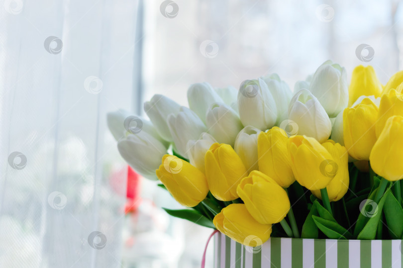 Скачать Большая ваза с желтыми и белыми тюльпанами фотосток Ozero