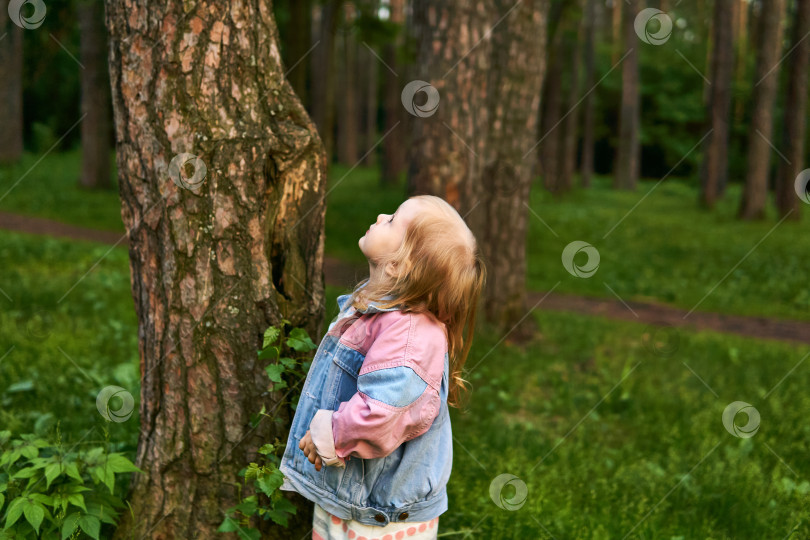 Скачать маленькая девочка смотрит на верхушку дерева на размытой естественной спине фотосток Ozero