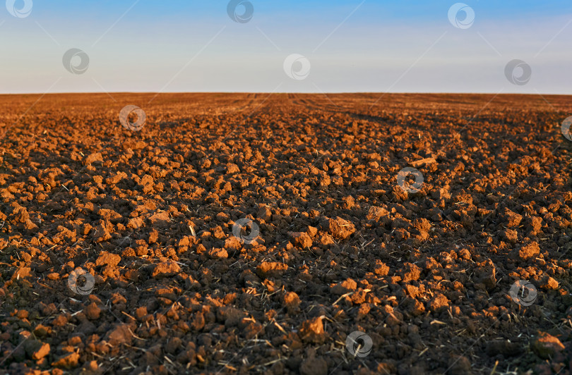 Скачать вспаханное поле крупным планом, горизонт размыт фотосток Ozero