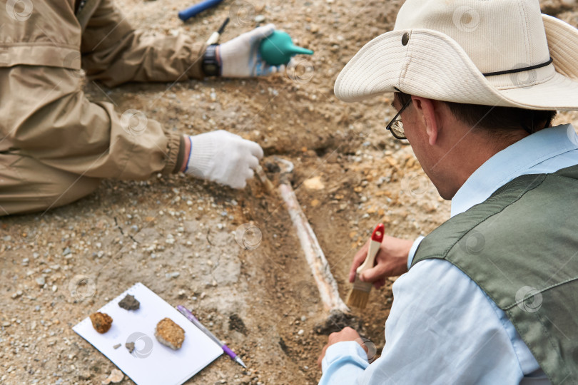 Скачать палеонтологи обнаружили окаменелость в пустыне фотосток Ozero