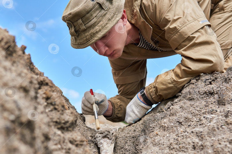 Скачать мужчина-археолог тщательно очищает находку щеткой фотосток Ozero