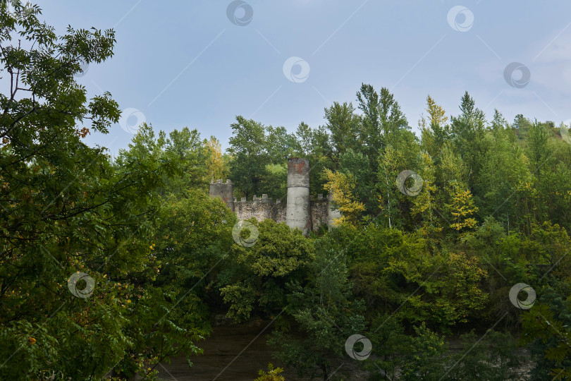 Скачать руины крепости на скале посреди леса фотосток Ozero