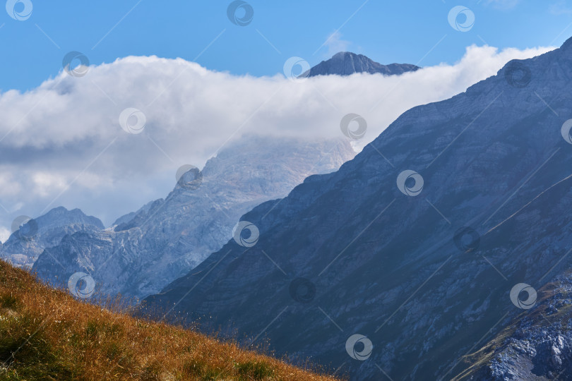 Скачать красивый горный пейзаж с осенним альпийским лугом на юге фотосток Ozero