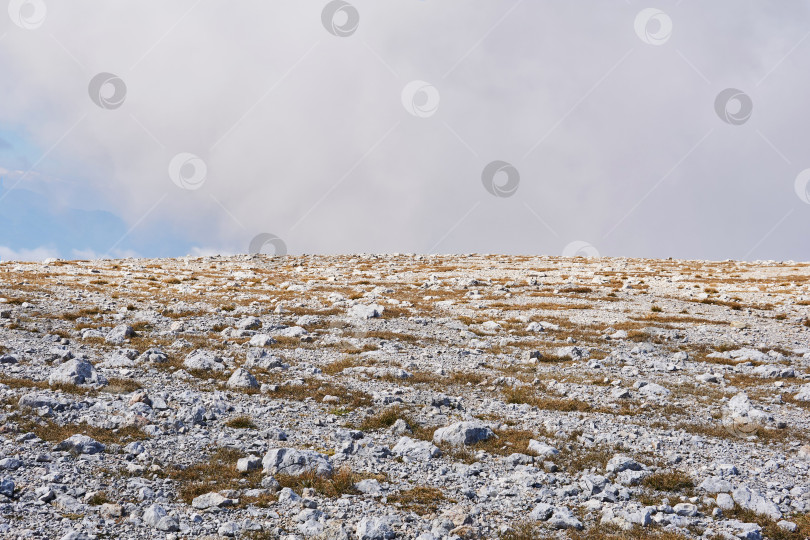 Скачать пустынное альпийское плато, покрытое белыми камнями фотосток Ozero