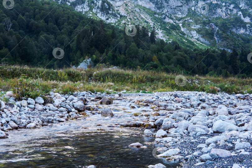 Скачать каменистая река в горной долине на фоне леса фотосток Ozero