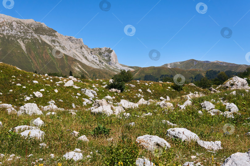 Скачать альпийский луг с белыми валунами, за которым начиналась гора фотосток Ozero