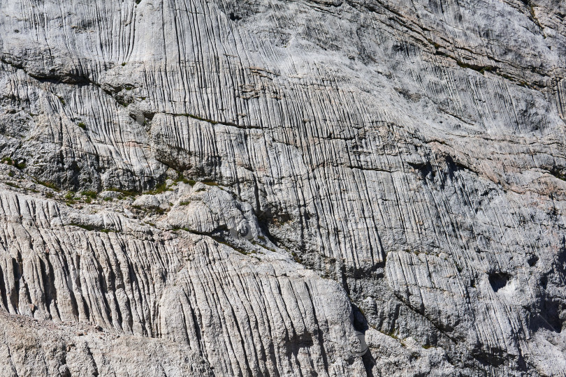 Скачать поверхность отвесной скалы, расчерченная вертикальными бороздками - следами фотосток Ozero