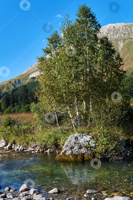 Скачать ручей небольшой горной реки с красивой скалой с фотосток Ozero