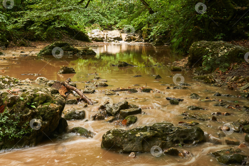 Скачать мутная река в субтропическом лесу после дождя фотосток Ozero