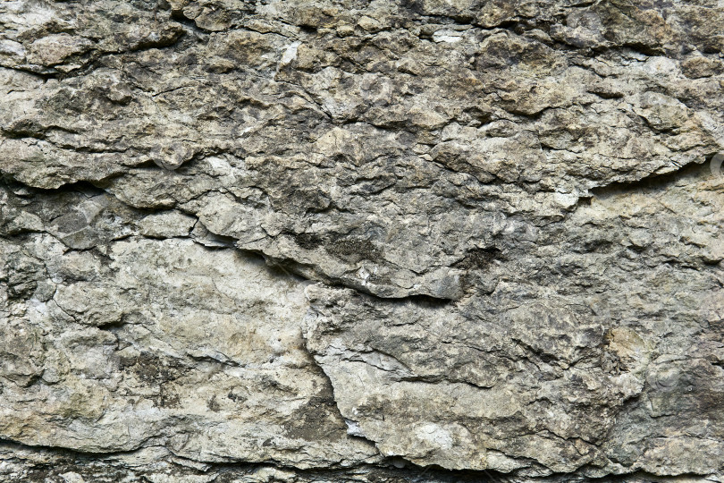 Скачать фон, текстура - шероховатая серая известняковая порода фотосток Ozero