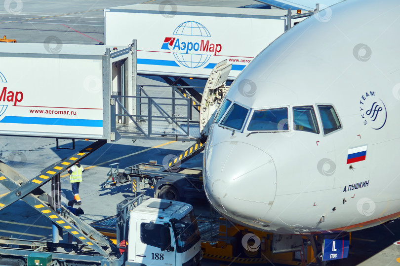 Скачать погрузка багажа на самолет Аэрофлота в аэропорту Шереметьево, фотосток Ozero