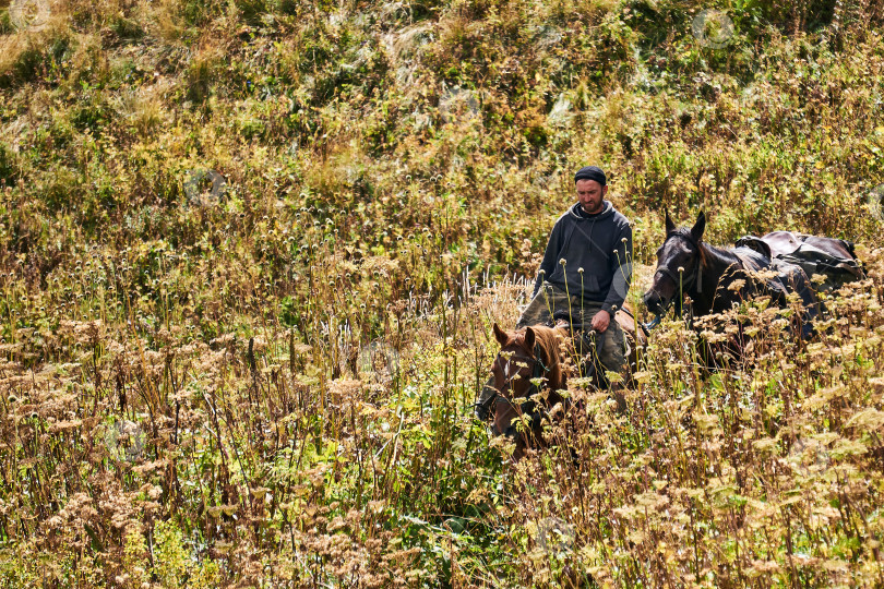 Скачать всадник взбирается на гору среди осенней растительности, ведя за собой фотосток Ozero