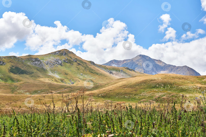 Скачать осенний пейзаж в горах Кавказа фотосток Ozero