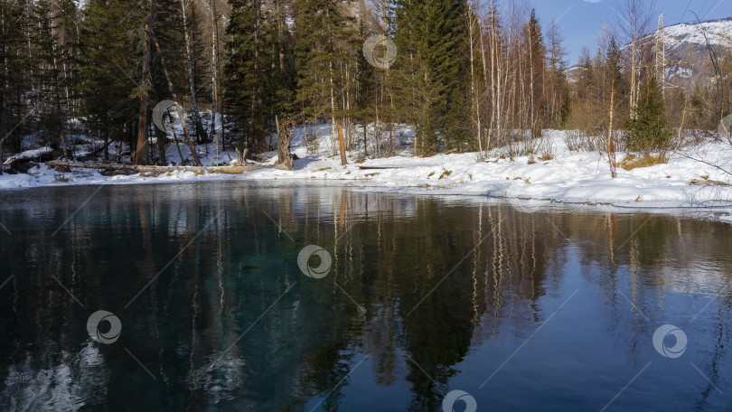 Скачать Незамерзающее озеро в зимнем лесу. фотосток Ozero