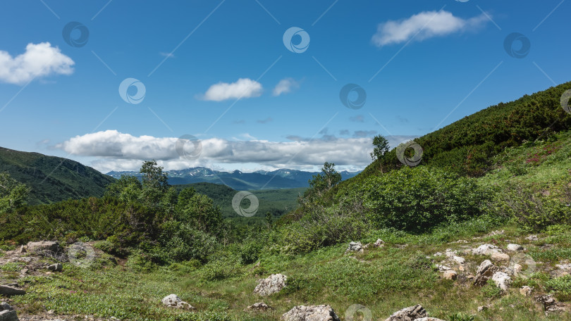 Скачать Горный пейзаж. Камчатка фотосток Ozero