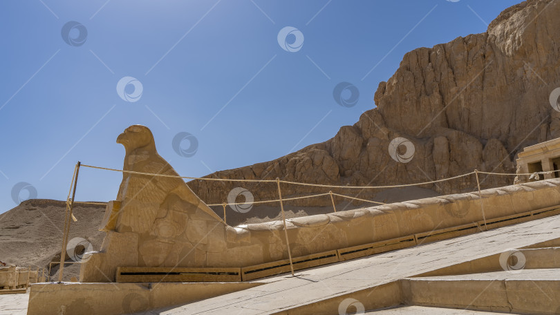 Скачать Каменная статуя сокола у входа в древний погребальный храм царицы - фараона Хатшепсут. фотосток Ozero