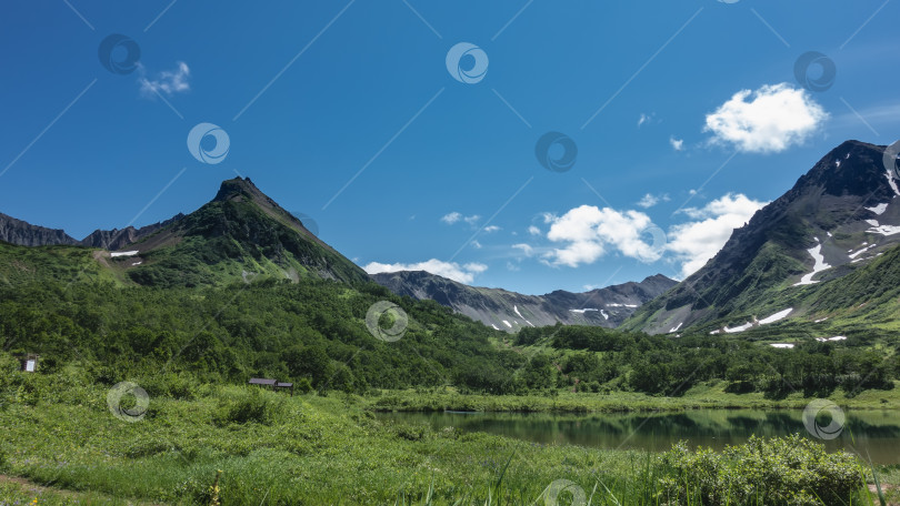 Скачать Спокойное озеро на альпийском лугу. фотосток Ozero