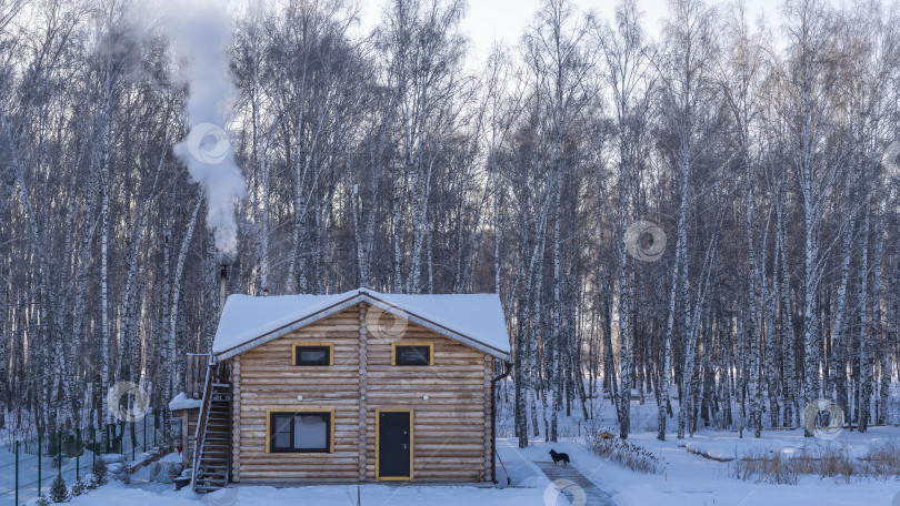 Скачать Двухэтажный деревянный дом на фоне зимней березовой рощи. фотосток Ozero