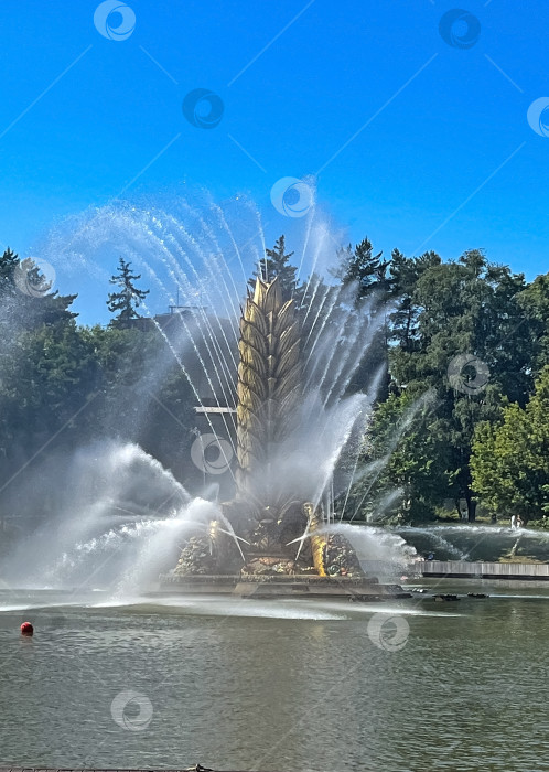 Скачать Москва, фонтан "Золотой колос" во Всероссийском выставочном центре фотосток Ozero