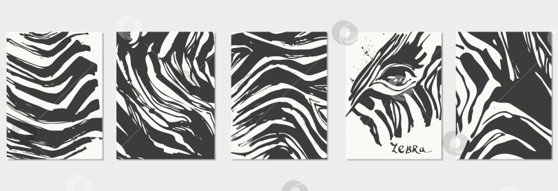 Скачать Нарисованная вручную черными чернилами текстура кожи зебры. фотосток Ozero