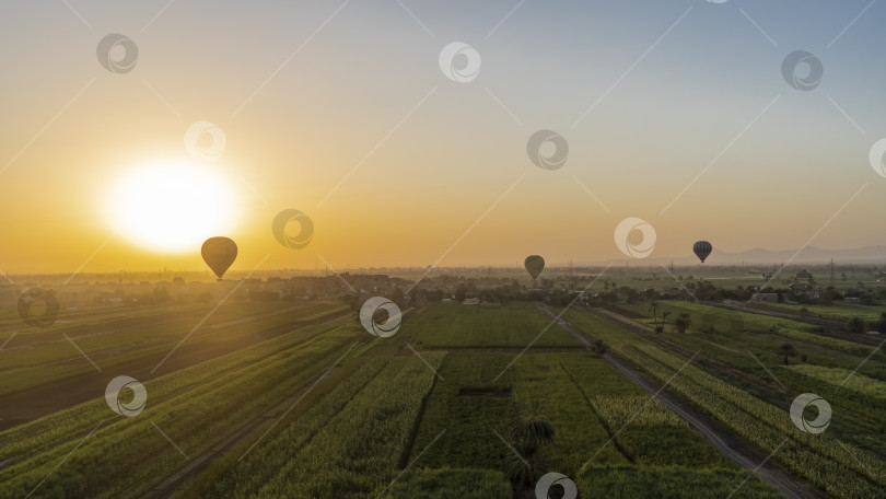 Скачать Воздушные шары поднимаются на рассвете.  Египет. Луксор фотосток Ozero