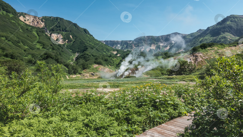 Скачать Деревянная пешеходная дорожка проходит через зеленый луг. фотосток Ozero