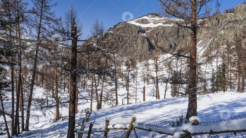 Скачать Дорога, утоптанная в снегу, спускается с холма. фотосток Ozero