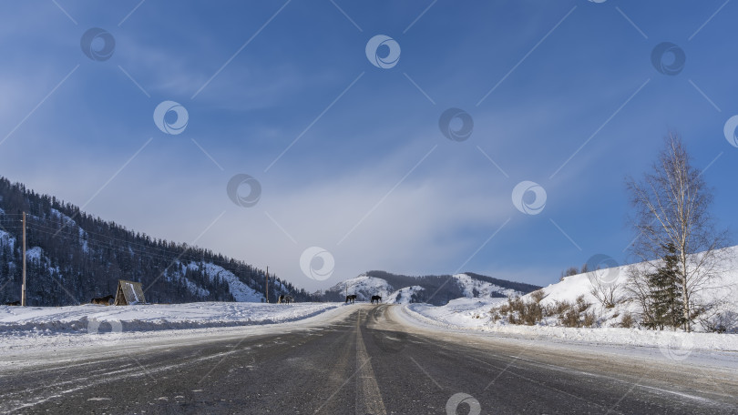 Скачать Шоссе проходит через заснеженную долину. фотосток Ozero